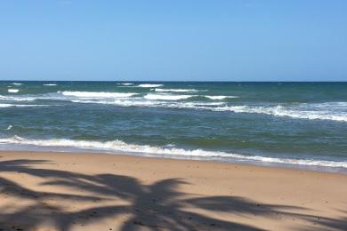 Sandee Praia De Jaua