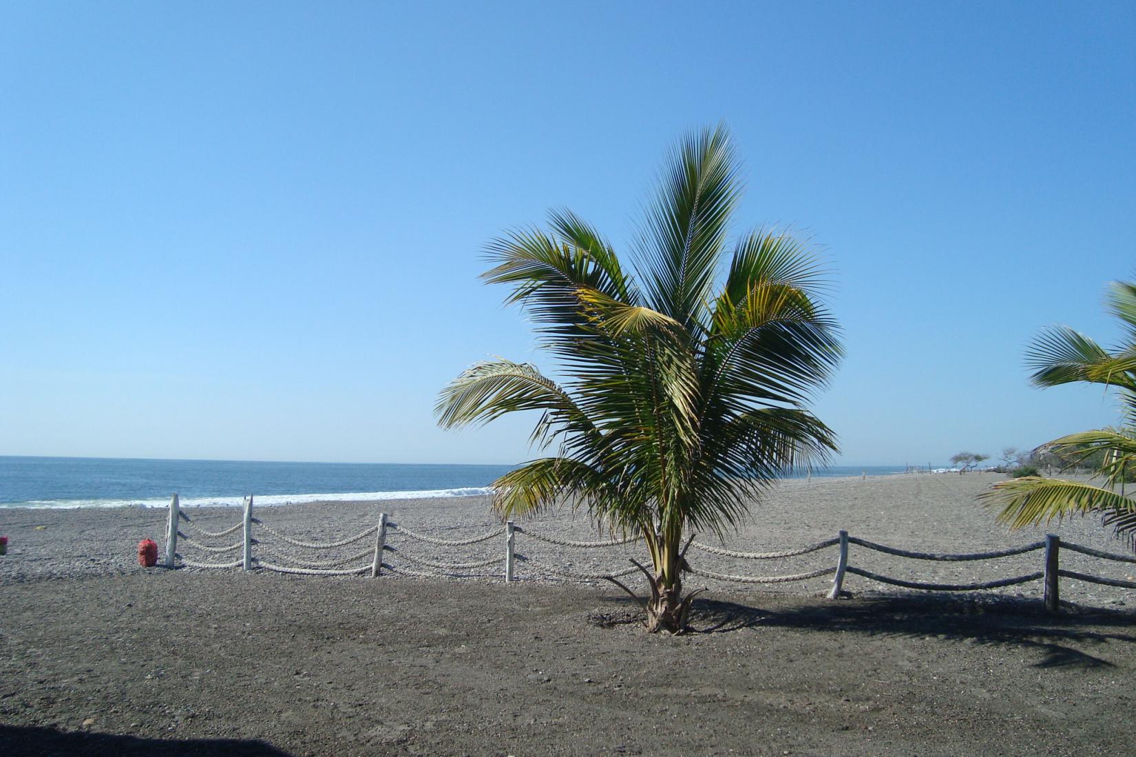 Sandee - HomePage / Petacalco