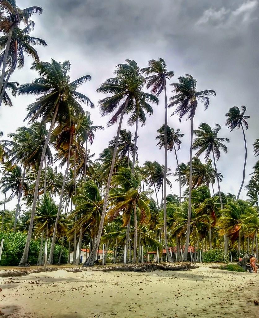 Sandee - Praia Da Tamarande