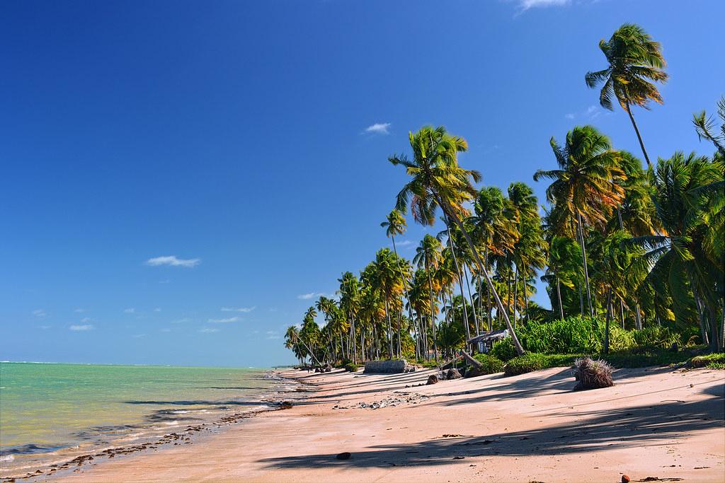 Praia do Patacho Photo - Sandee