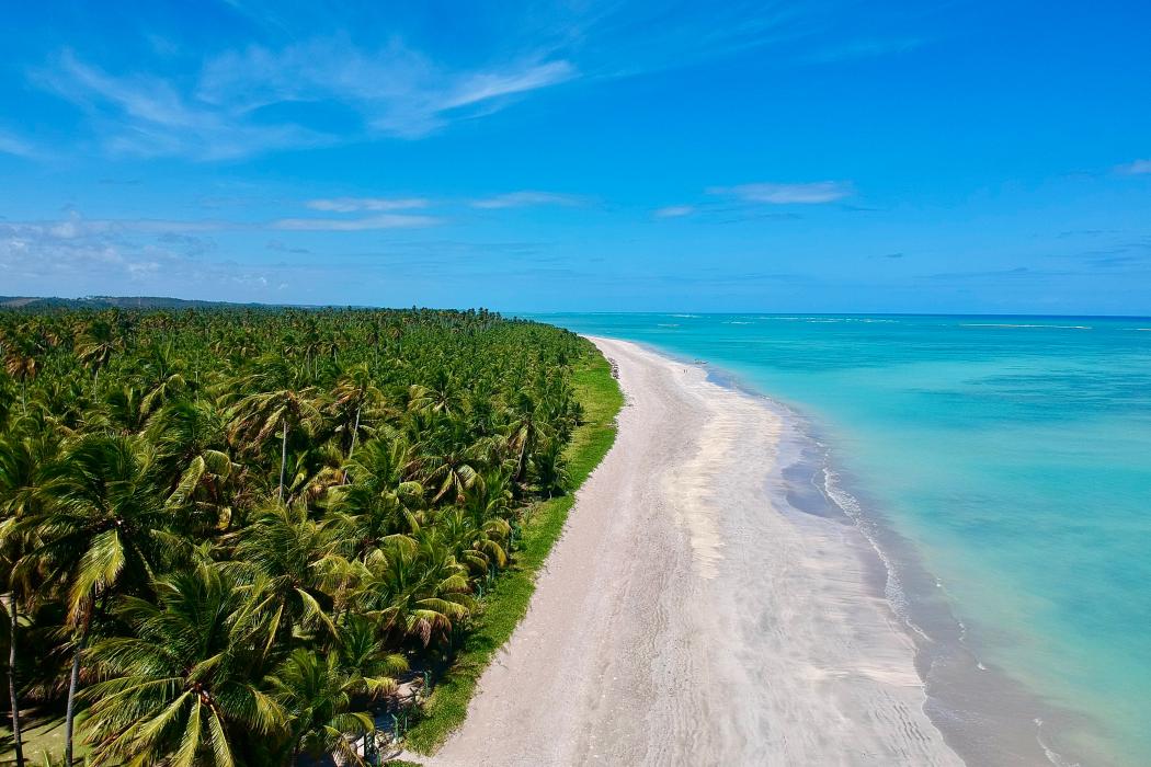 Sandee Praia De Sao Miguel Dos Milagres - Rota Ecologica Dos Milagres