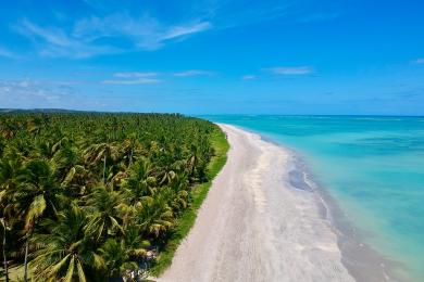 Sandee Praia De Sao Miguel Dos Milagres - Rota Ecologica Dos Milagres Photo