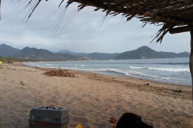Sandee Playa Punta Perula