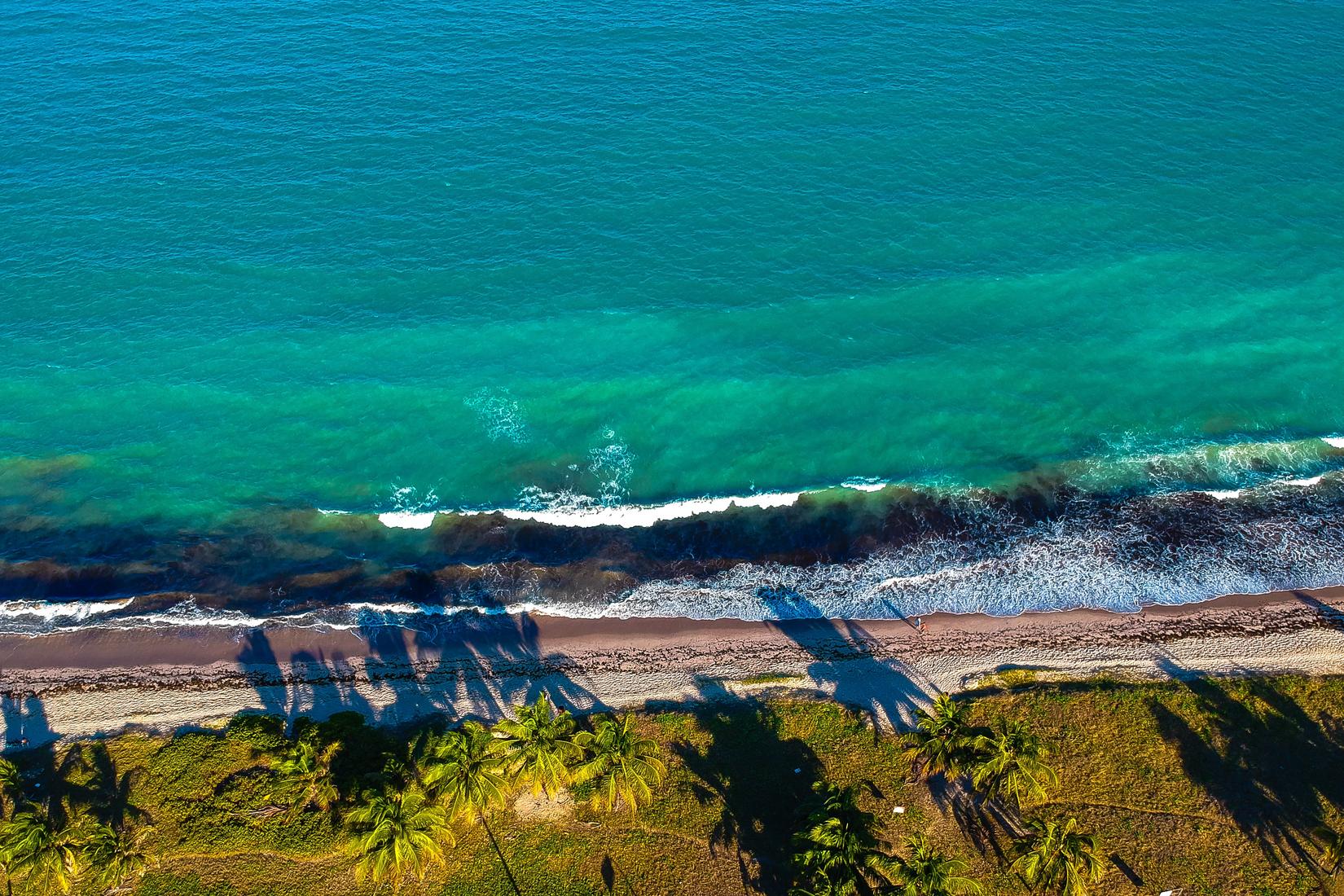 Sandee - Praia Ponta De Nossa Senhora De Guadalupe