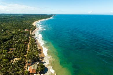 Sandee Praia De Algodoes