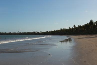 Sandee Praia De Garapua Photo