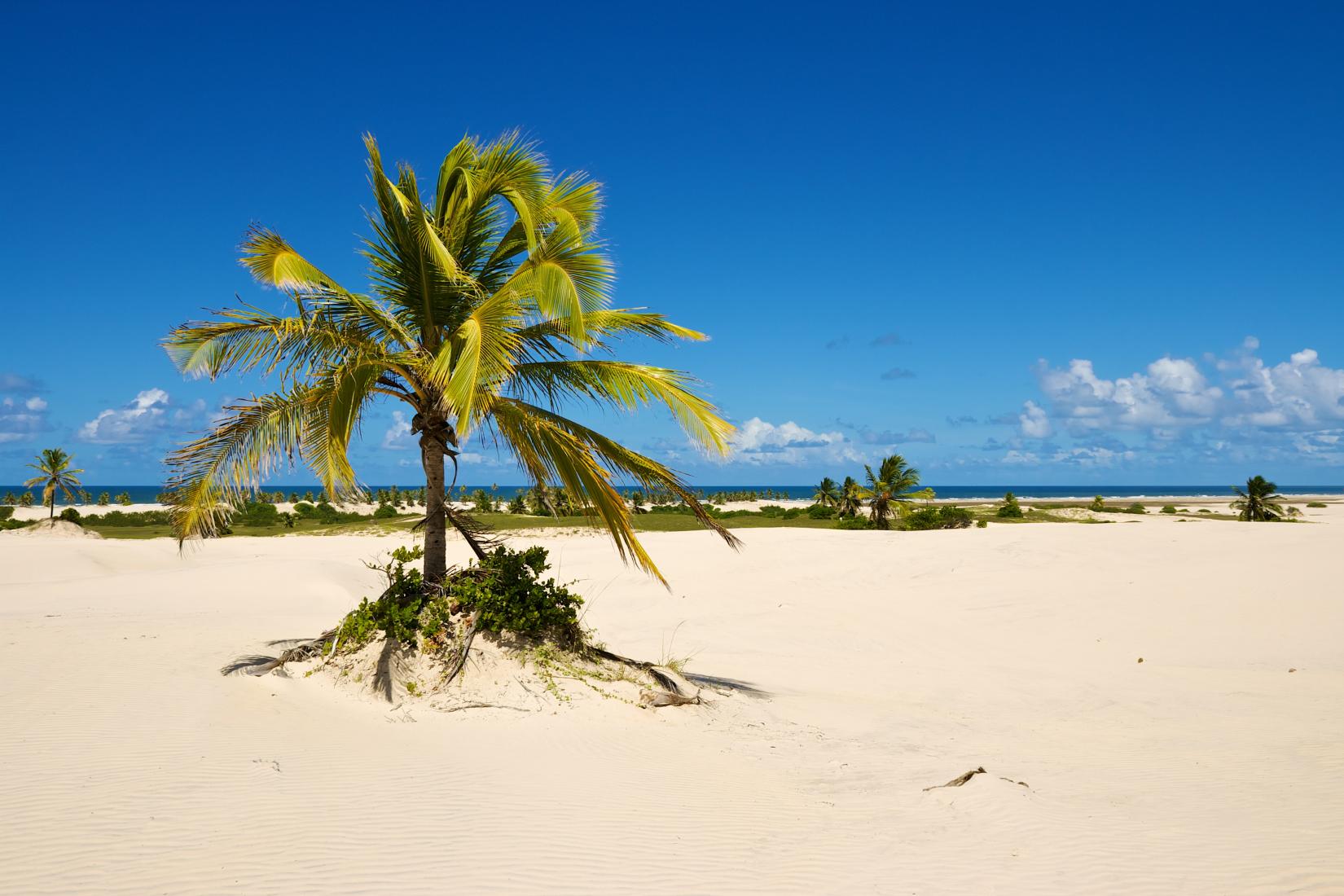 Sandee - Praia Do Mangue Seco