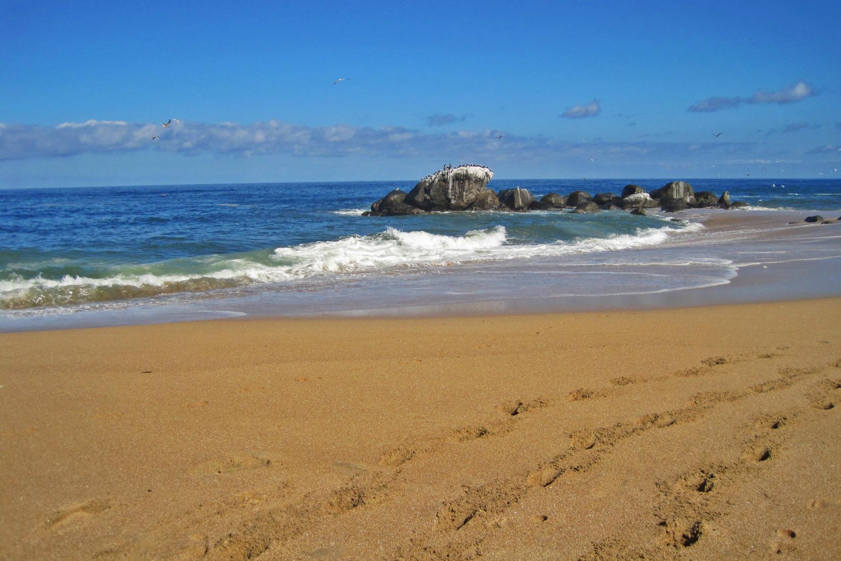 Sandee - Playa Carricitos