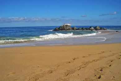 Sandee Playa Carricitos Photo