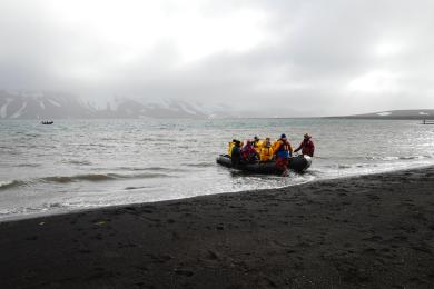 Sandee Deception Island Photo