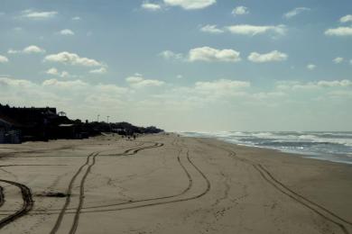 Sandee Cocodrilo Pinamar