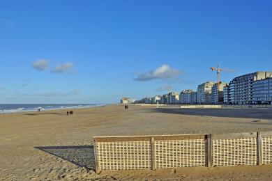 Sandee Albertstrand Beach Photo