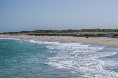 Sandee - Inlet Beach