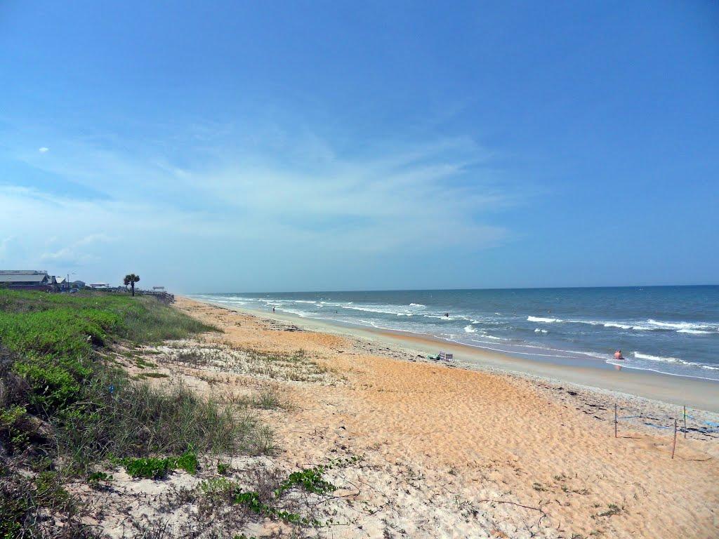 Flagler Beach Photo - Sandee