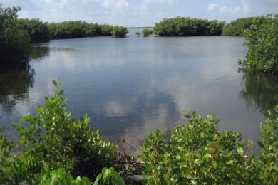 Sandee Barkers National Park Beach Photo