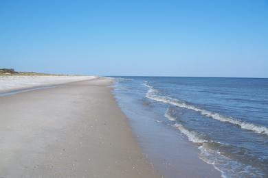 Sandee - St. George Island Beach