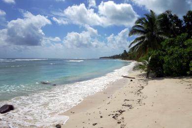 Sandee - Cossies Beach