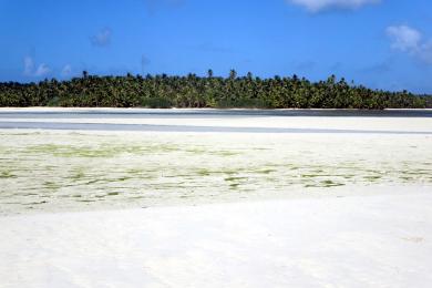 Sandee - Cossies Beach