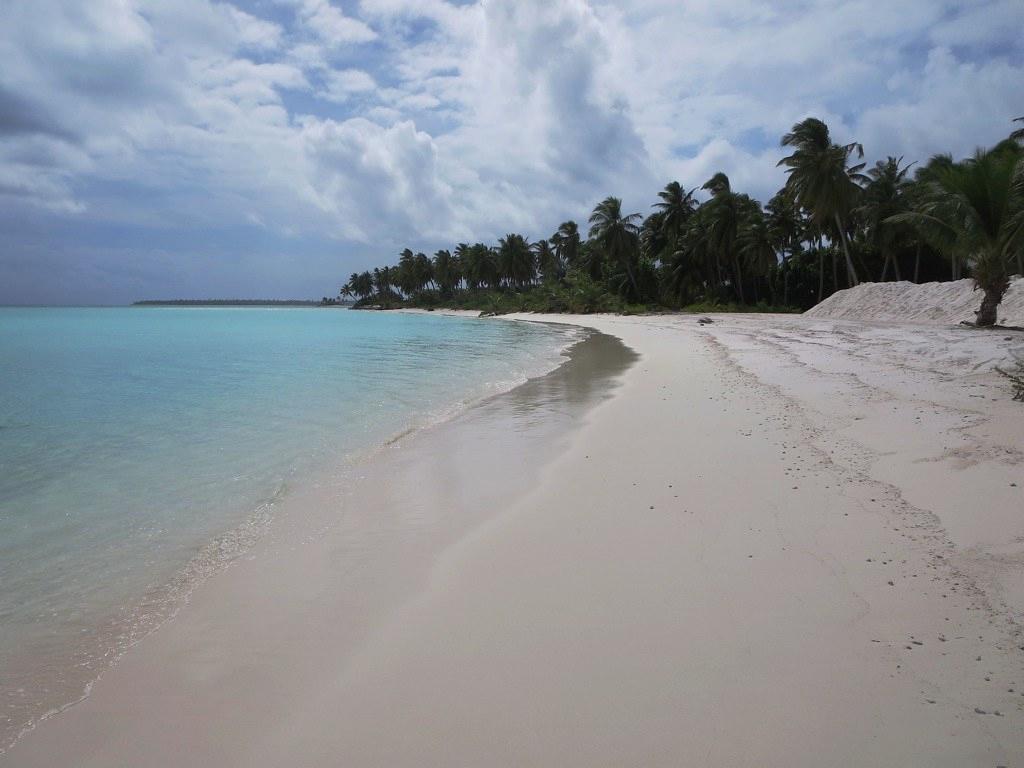 Sandee - Cossies Beach