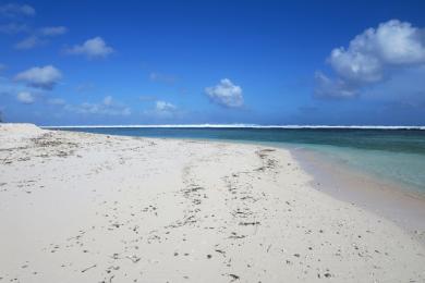 Sandee - Cossies Beach