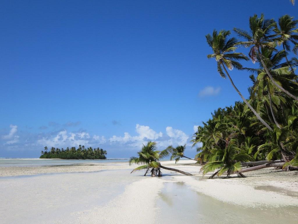 Sandee - HomePage / Cocos