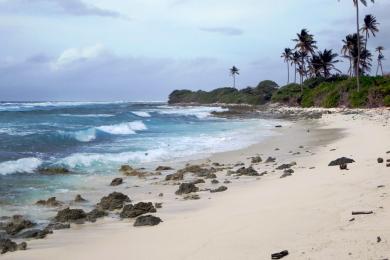 Sandee - Cossies Beach