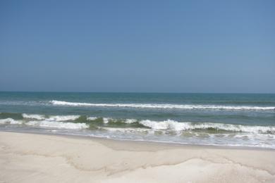 Sandee - St. George Island Beach