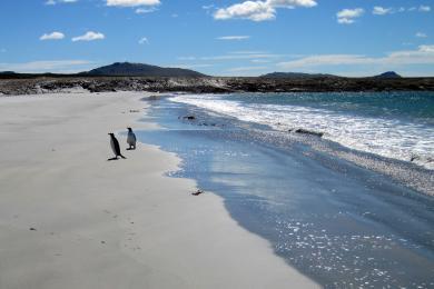 Sandee Bluff Cove Lagoon