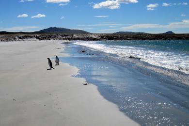 Sandee Bluff Cove Lagoon Photo