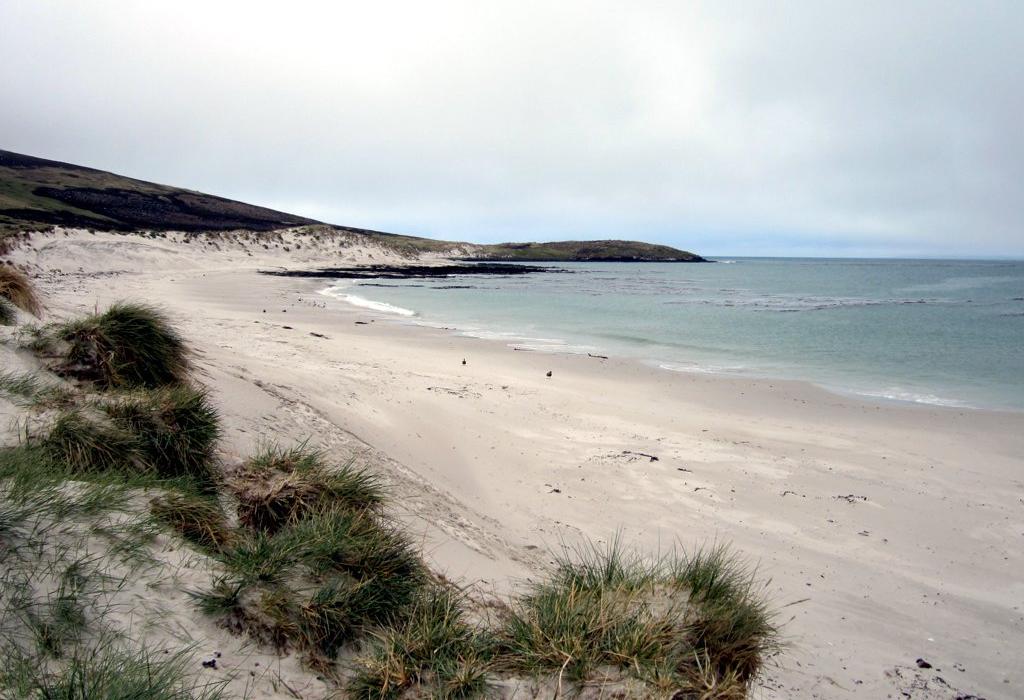 Sandee Carcass Island Photo