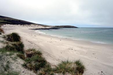 Sandee Carcass Island