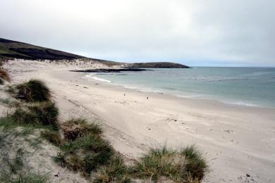 Sandee Carcass Island Photo