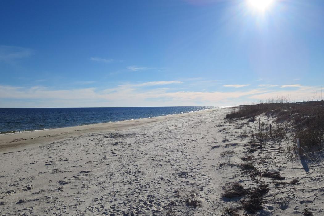 Sandee St. George Island Beach