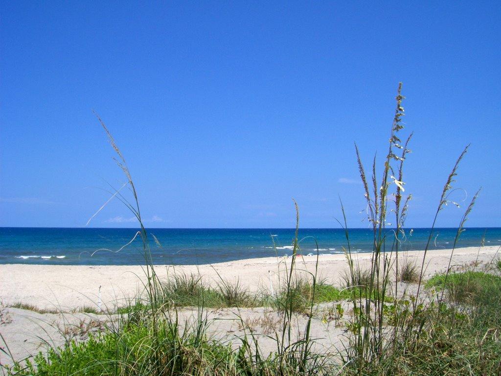 Sandee - Bob Graham Beach