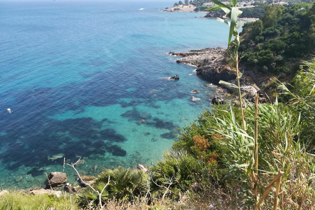 Sandee Ain Achir Beach