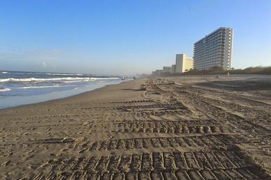 Sandee - Canova Beach Park