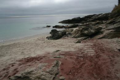 Sandee Sables Rouges Beach Photo