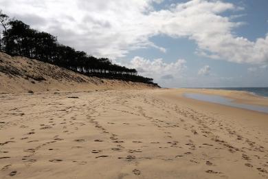 Sandee Plage Du Petit Nice Photo