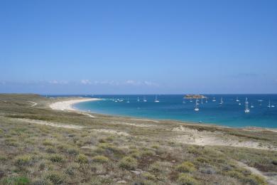 Sandee Grande Plage Photo