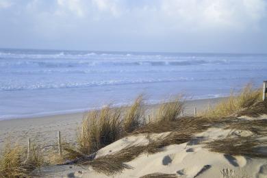Sandee Plage Centrale