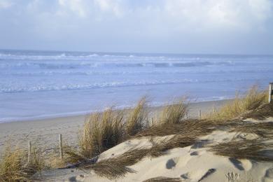 Sandee Plage Centrale Photo