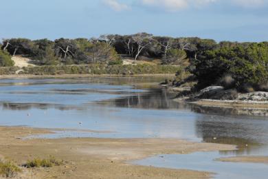 Sandee - Ses Salines