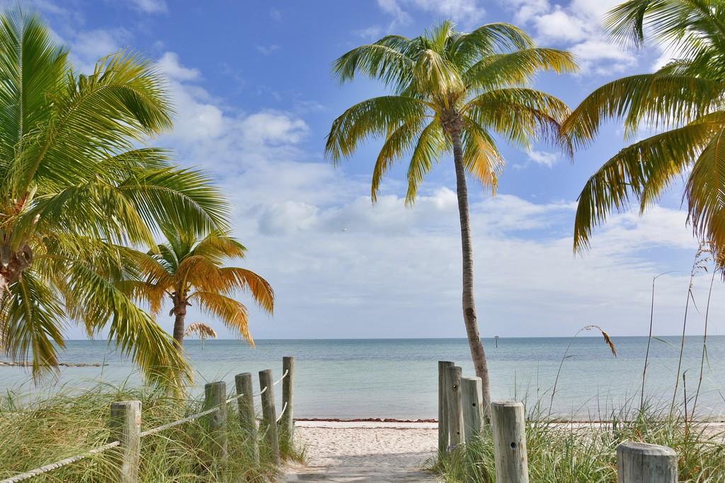 Sandee - Smathers Beach