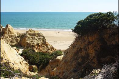 Sandee - Playa Del Parador