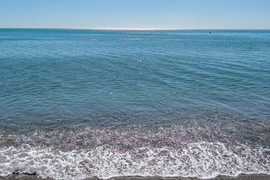 Sandee - Playa La Malagueta