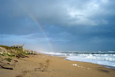 Sandee - Peacock Beach