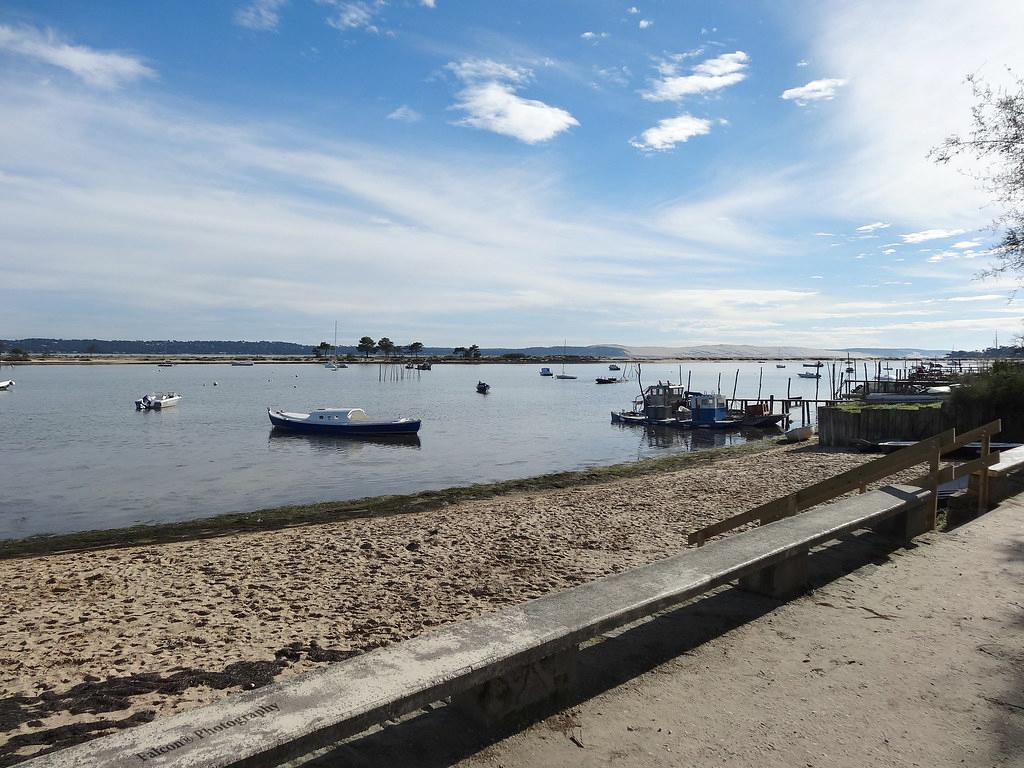 Lege Cap Ferret Photo - Sandee