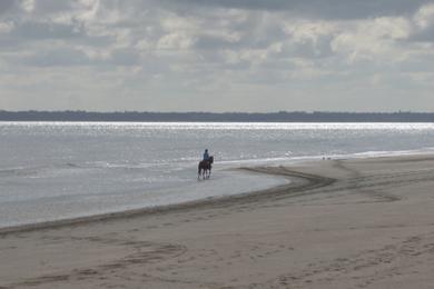 Sandee - Utah Beach