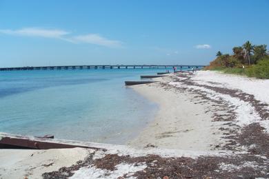 Sandee Virginia Key Beach Park Photo