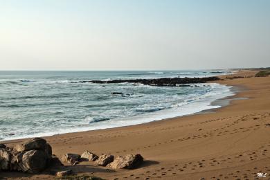 Sandee Plage De Paracou - La Chaume Photo